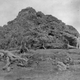 Imagen para el artículo titulado De Krakatoa a Tambora: 7 catástrofes naturales que cambiaron la historia